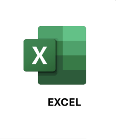 MS Excel